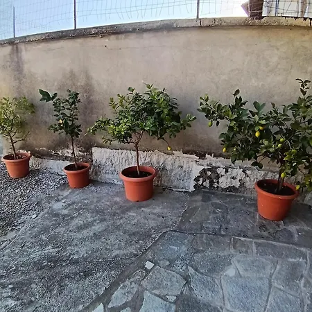 Serena House * Robella